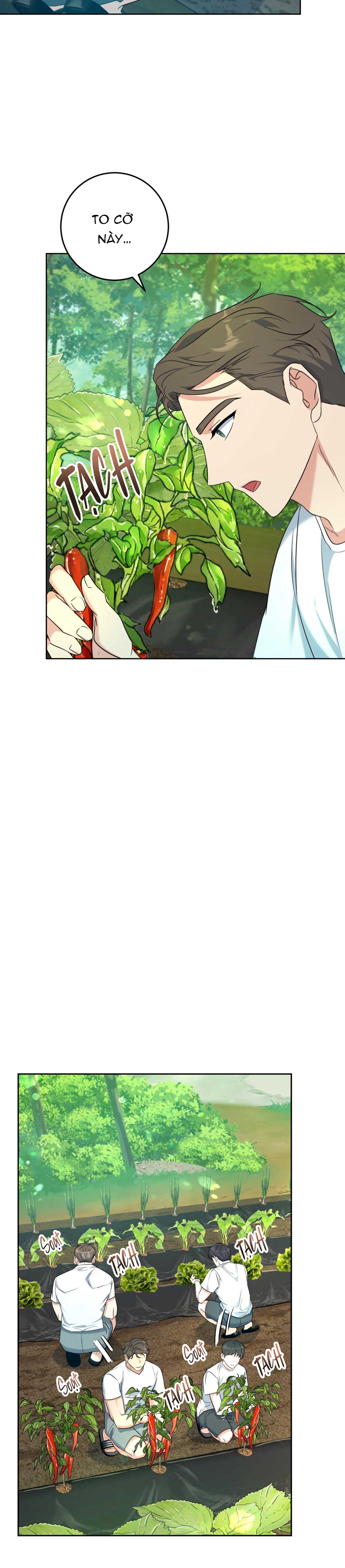 cánh rừng bình lặng chapter 3 12