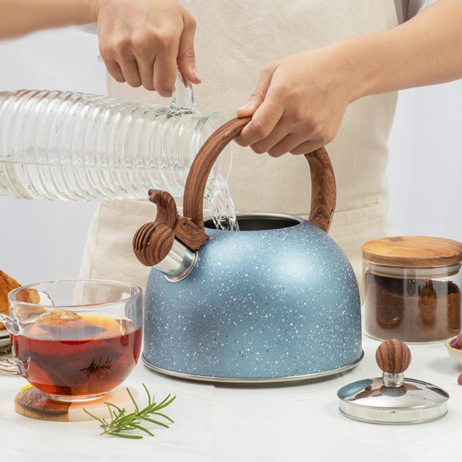 Stainless Steel Kettle Enamel Tea Kettle Kitchenware