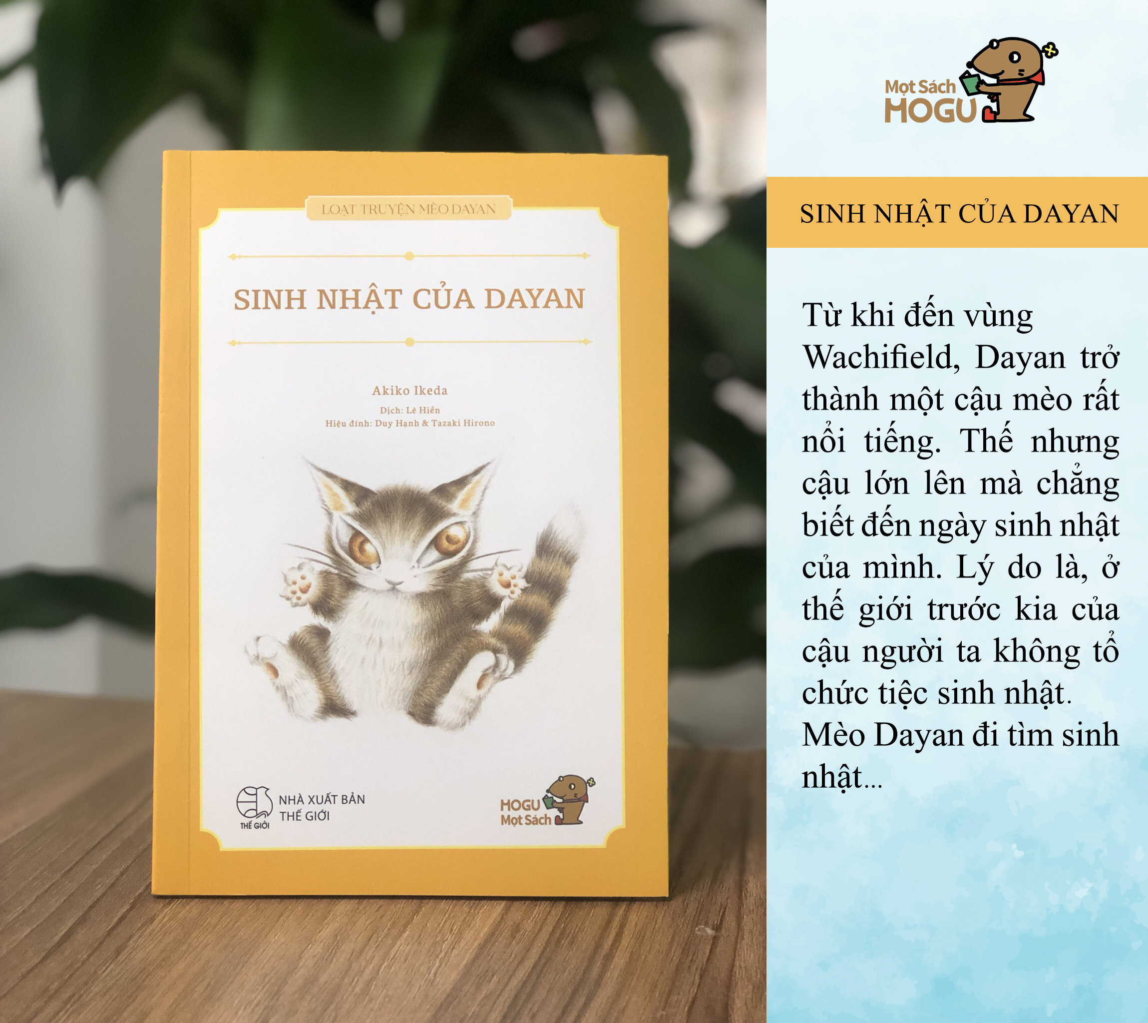 SINH NHẬT CỦA DAYAN - Loạt truyện Mèo Dayan - Sách cho bé từ 3 tuổi