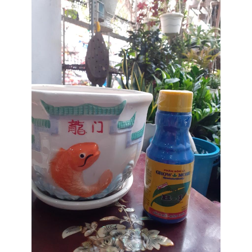 B1-kích rễ-đâm chồi, phân bón lá 35k/100ml lọ.
