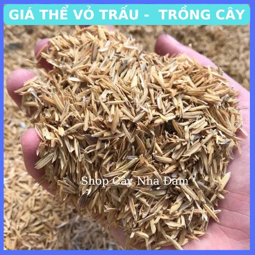 Vỏ Trấu Trồng Cây Cảnh, Rau Sạch, Hoa.