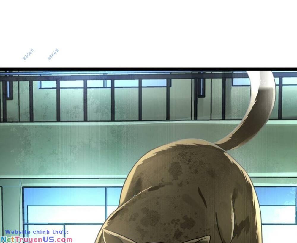 đóng băng toàn cầu: tôi gây dựng nên phòng an toàn thời tận thế chapter 149 1