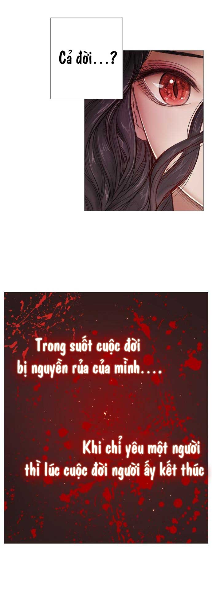 tôi chính là nhà sưu tập chim chapter 6 34