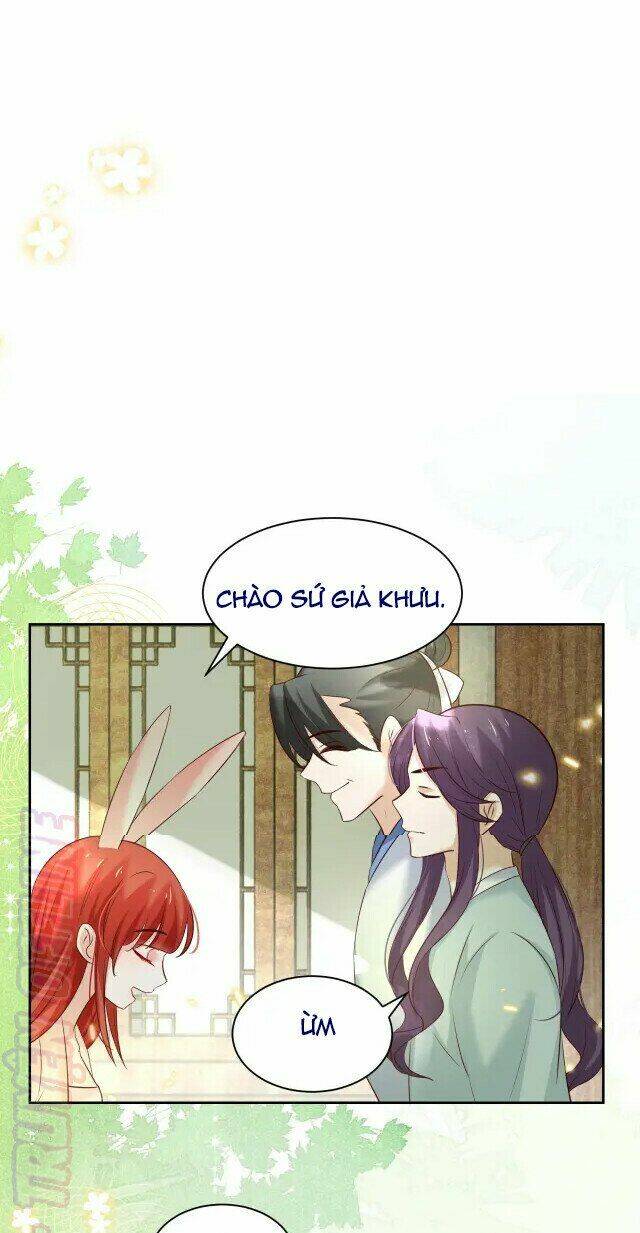 hắc hóa nam chính trực tuyến nuôi thỏ chapter 45 10