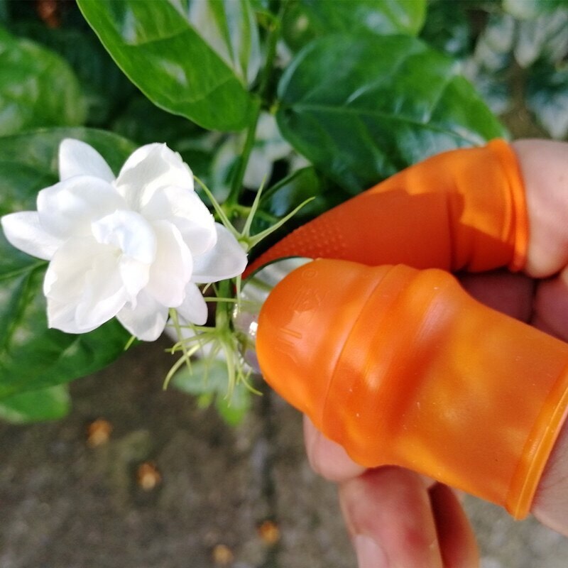 Dụng Cụ Móng tay nhặt rau, ngắt rau, thu hoạch rau quả tiện lợi
