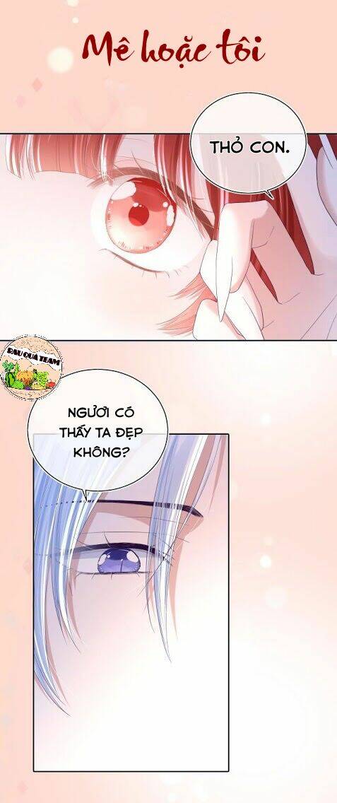 hắc hóa nam chính trực tuyến nuôi thỏ chapter 1 18