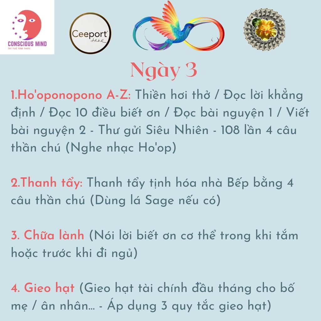 Bộ thẻ thực hành (21 thẻ) - Tặng kèm 4 Logo thanh tẩy &amp; 2 tấm séc nhiệm màu