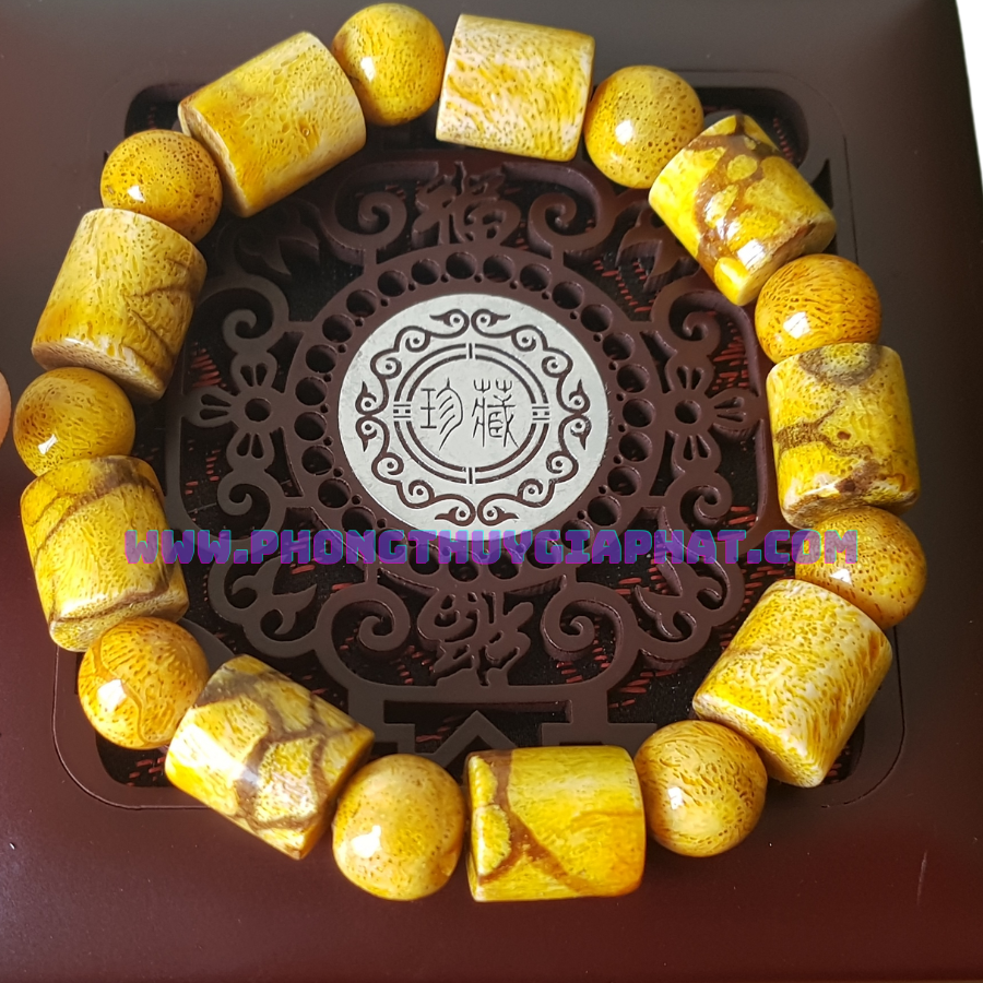 Vòng san hồ vàng đốt trúc