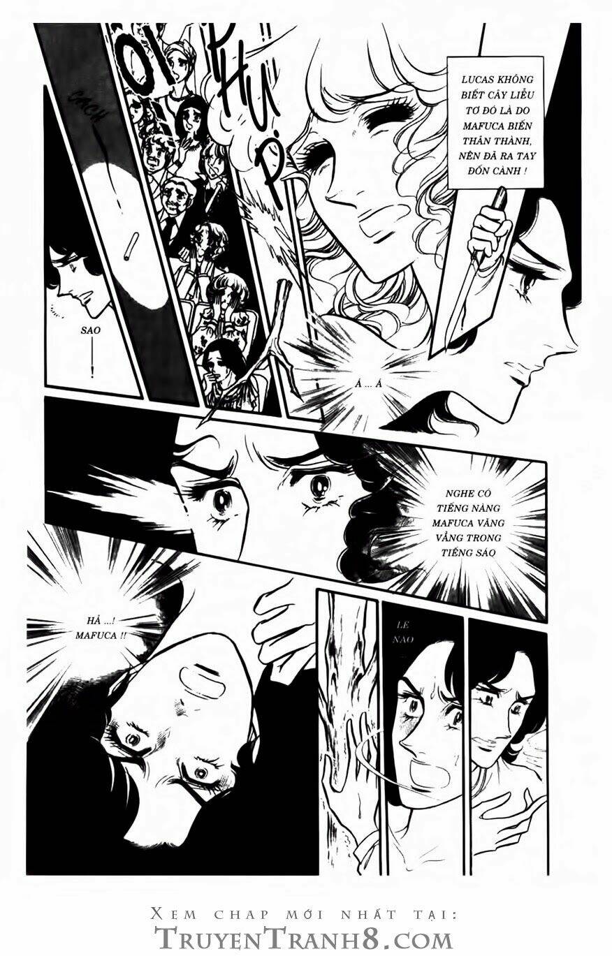 swan - vũ khúc thiên nga chapter 72 13