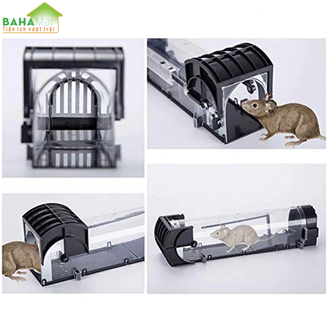 BẪY CHUỘT THÔNG MINH NHÂN ĐẠO TỰ ĐỘNG KHÓA "BAHAMAR" dụ chuột vào và khóa lại để chuột không thoát ra được và yếu dần