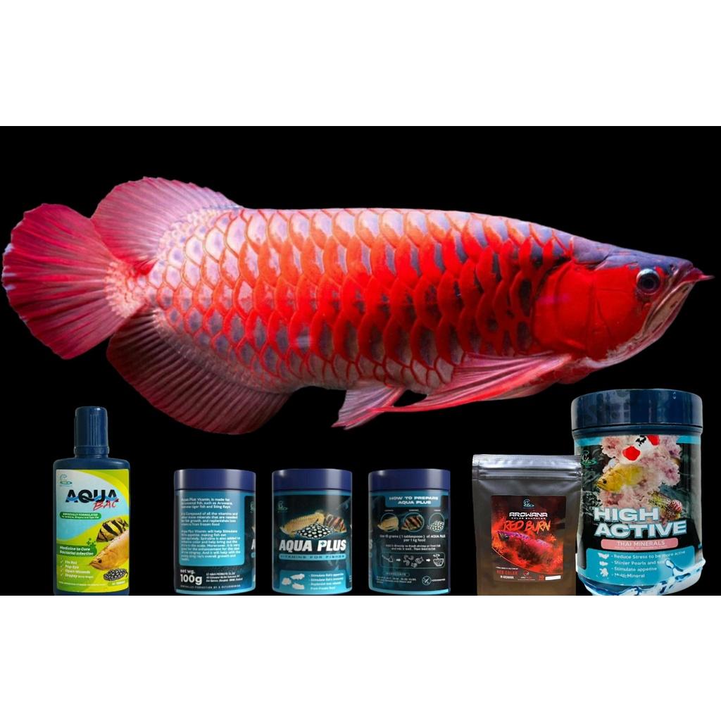 Cz13 Aqua Plus Vitamin tăng sức đề kháng.Nâng cao độ sáng bóng của vảy và màu sắc cho cá. Hàng Thái Lan