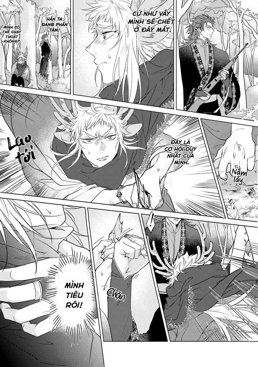 gặp gỡ em, thú nhân màu chàm trắng chapter 1 11