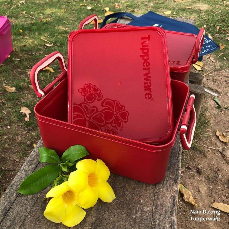 Bộ 2 hộp bảo quản thực phẩm ngâm - Tupperware
