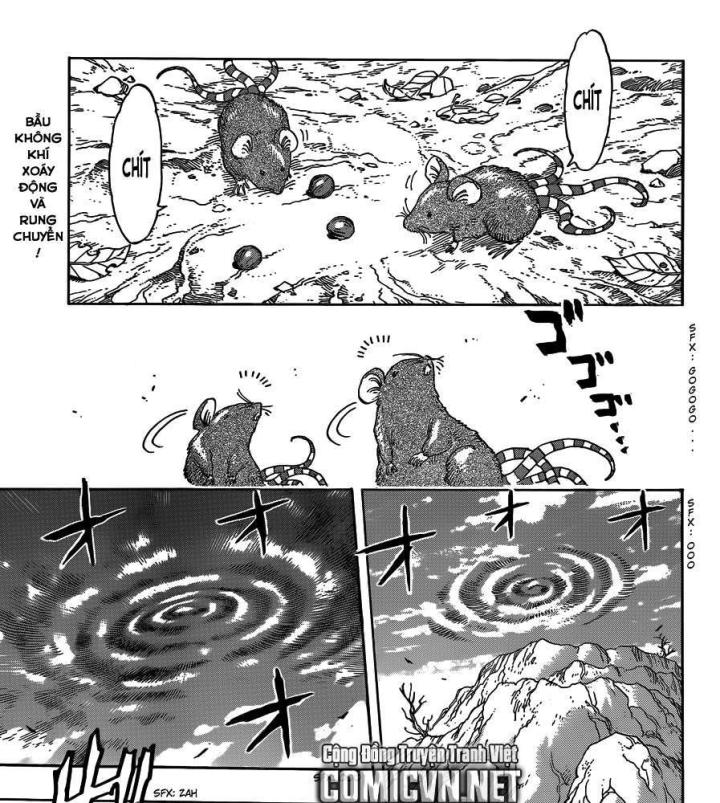 thánh tỏi sành ăn chapter 269 4