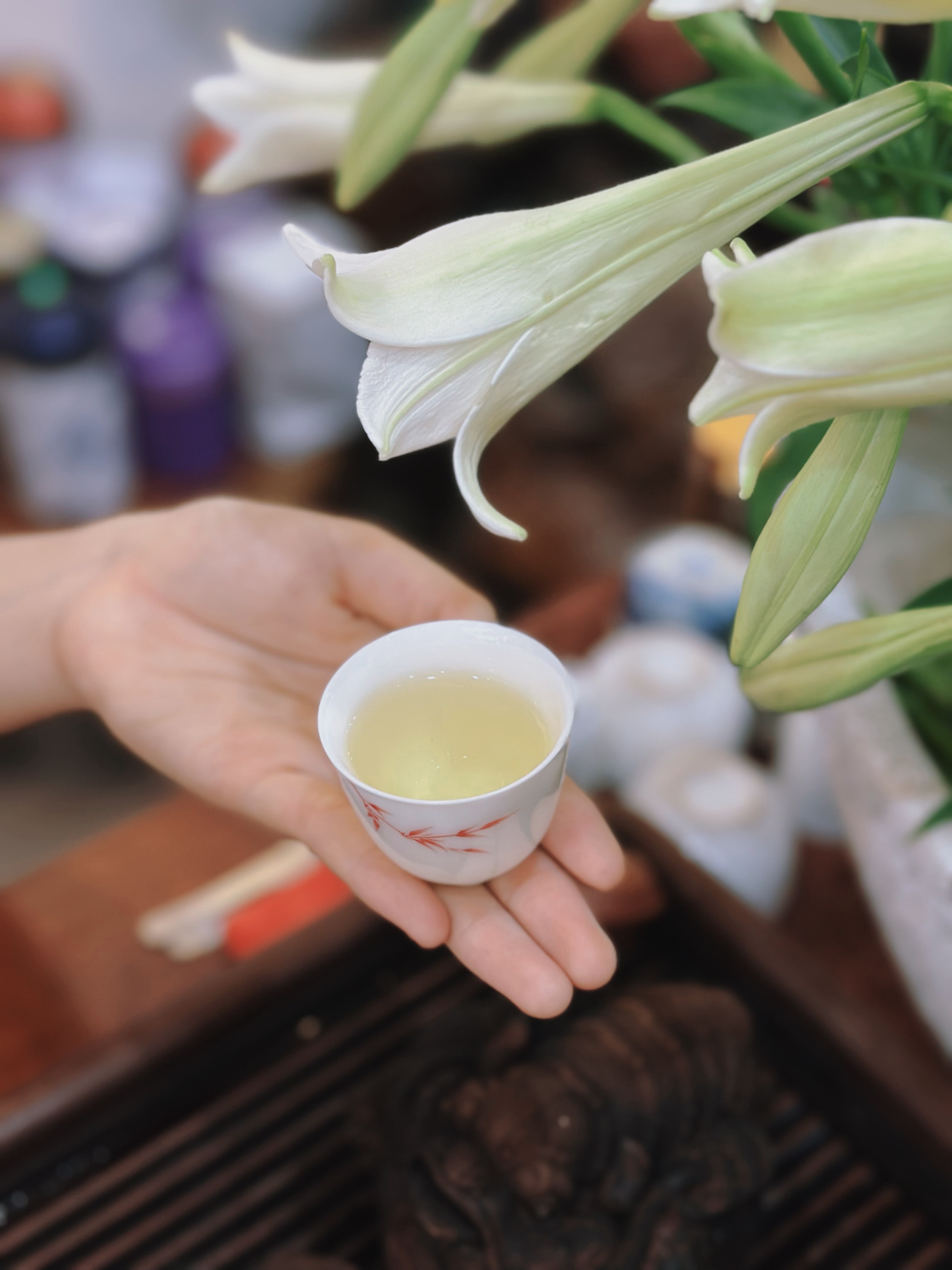 BẠCH TRÀ CỔ THỤ HÀ GIANG CAO CẤP - TUYỆT PHẨM TRÀ QUÝ VIỆT NAM - 50G - VIỆT LONG TRÀ