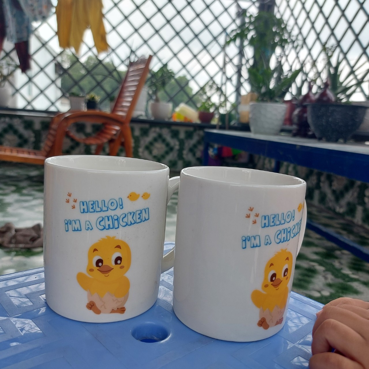 SET 02 LY SỨ UỐNG NƯỚC QUAI CẦM DONGHWA, DÁNG TRỤ ĐỨNG, HOẠ TIẾT SIÊU YÊU DUNG TÍCH 350ML KÈM HỘP SANG CHẢNH