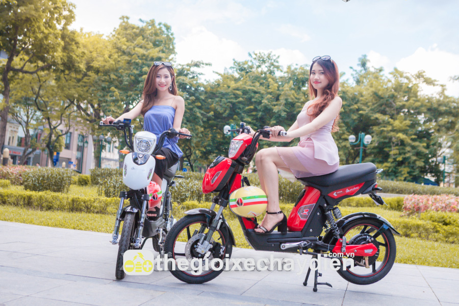 XE ĐẠP ĐIỆN DKBIKE SAMURAI