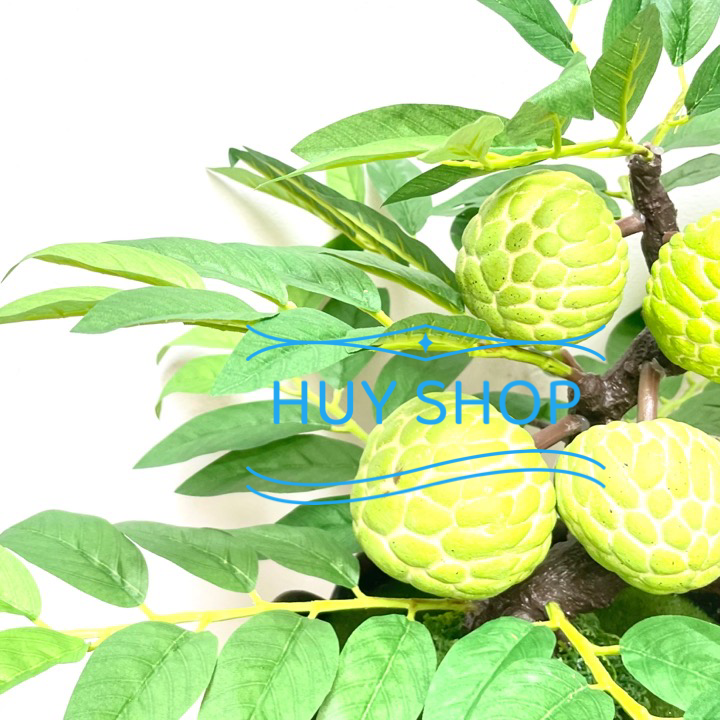 CHẬU CÂY TRÁI MÃNG CẦU NHÂN TẠO SỐ 3 TRANG TRÍ NHÀ CỬA