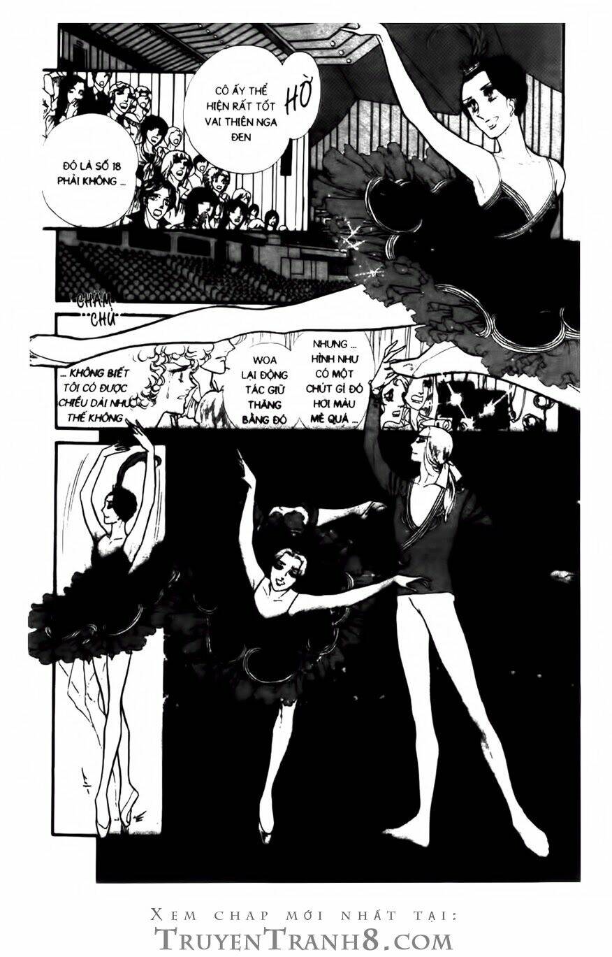 swan - vũ khúc thiên nga chapter 97 19