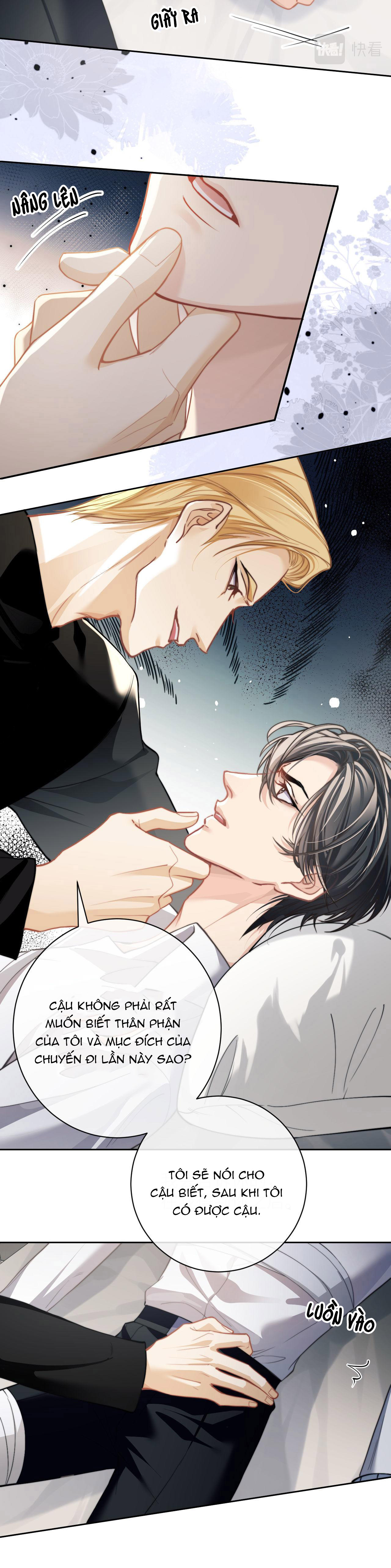 nhân ngư dessaro chapter 8 16