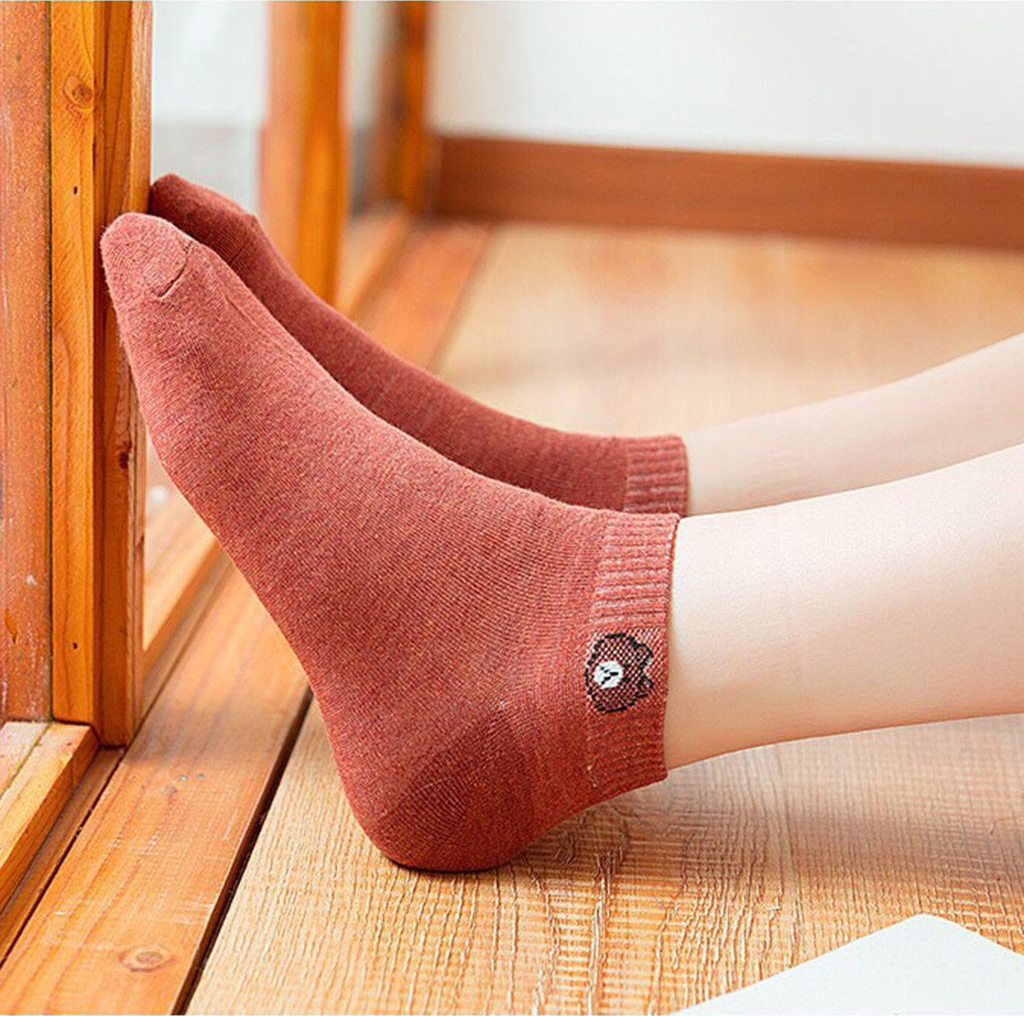 Combo 5 Đôi Vớ Nữ Cổ Ngắn Hình Gấu Nhiều Màu