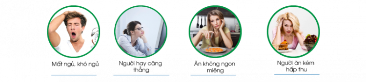 vien-an-ngu-ngon-happy-health-noi-bat-bieu-hien