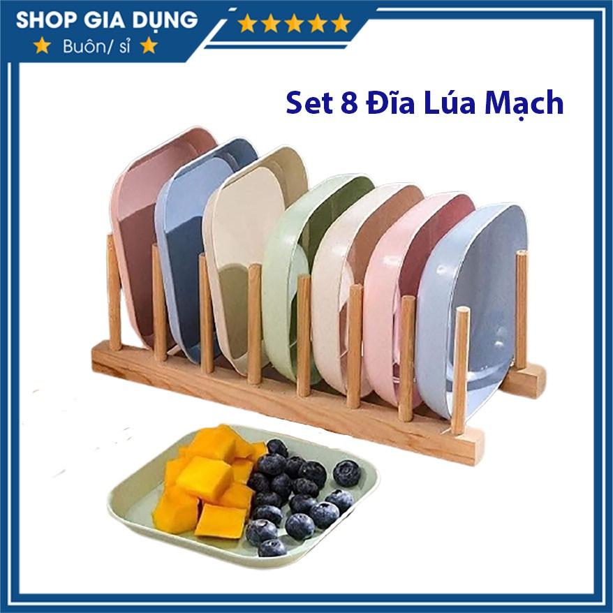 Set 8 Đĩa Lúa Mạch PASTEL Màu Siêu Xinh