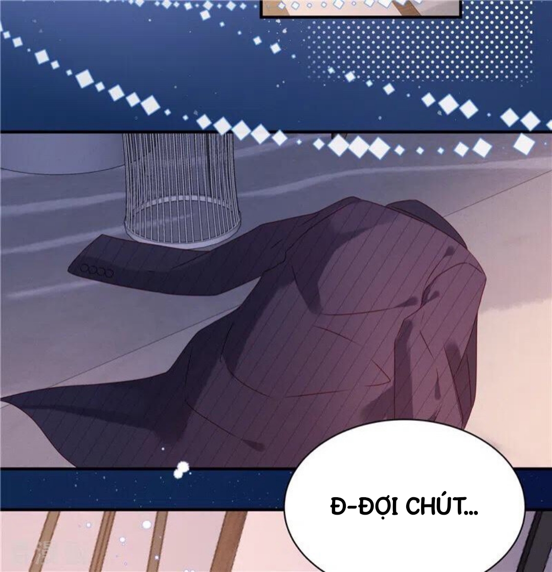 cô thỏ nhỏ của chủ tịch sói chapter 2 2