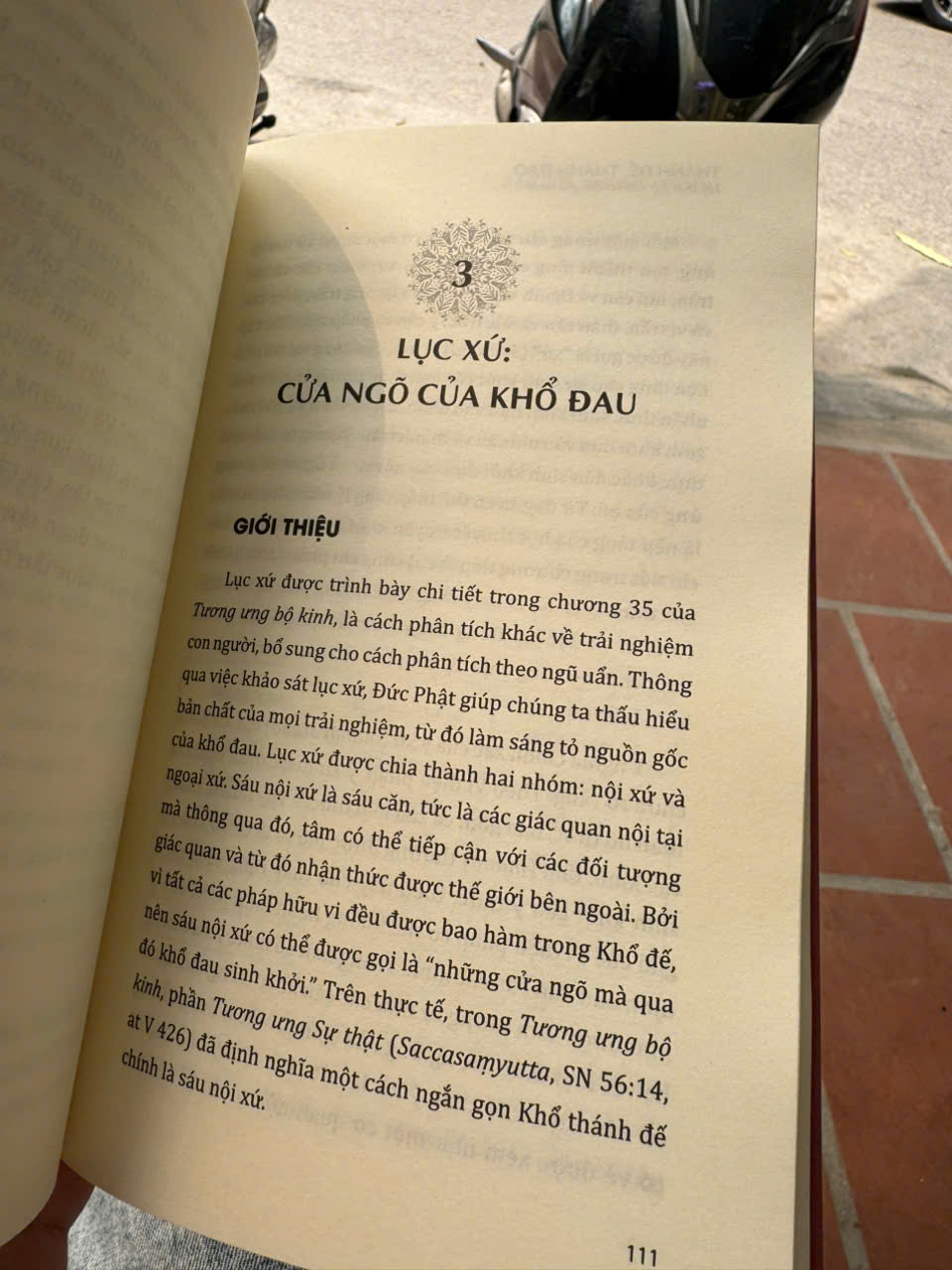 THÁNH ĐẾ, THÁNH ĐẠO - Lời Phật Dạy Trực Chỉ Đến Giải Thoát - Tỳ kheo Bodhi - Thích Nữ Tâm Chơn dịch - Thái Hà Books