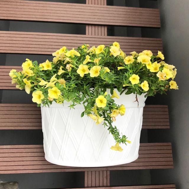 Chậu treo tường bán nguyệt