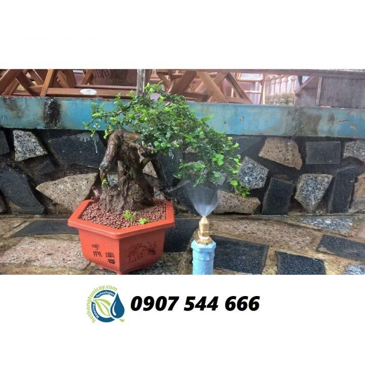 Combo 50 đầu phun sương đồng - Đầu phun sương đồng phi 21mm