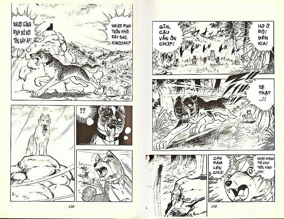 chú chó có nghĩa - ginga nagareboshi gin chapter 21 9