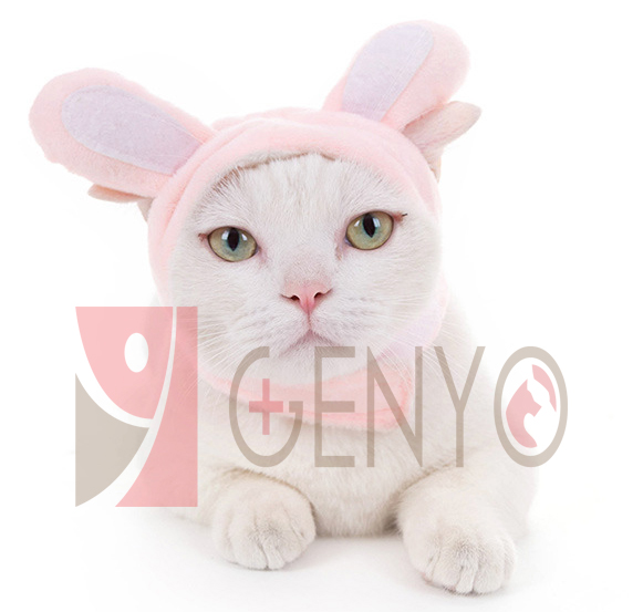 Nón trùm đầu cho thú cưng - Genyo pet hat 003 ( một cái, màu và mẫu giao ngẫu nhiên )