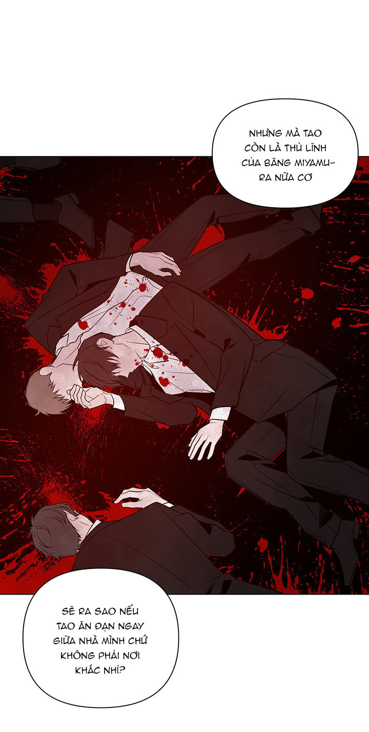 bình minh chia cắt màn đêm chapter 31 28