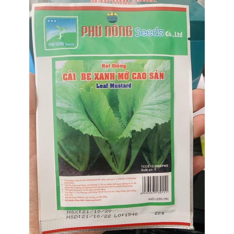 Hạt giống cải bẹ xanh mỡ