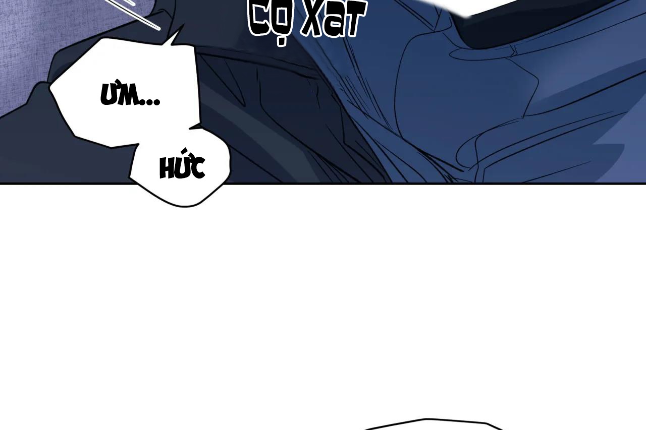 ám ảnh pheromone chapter 60 54