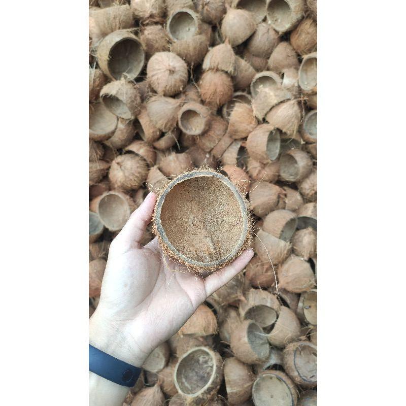 Gáo dừa nhỏ