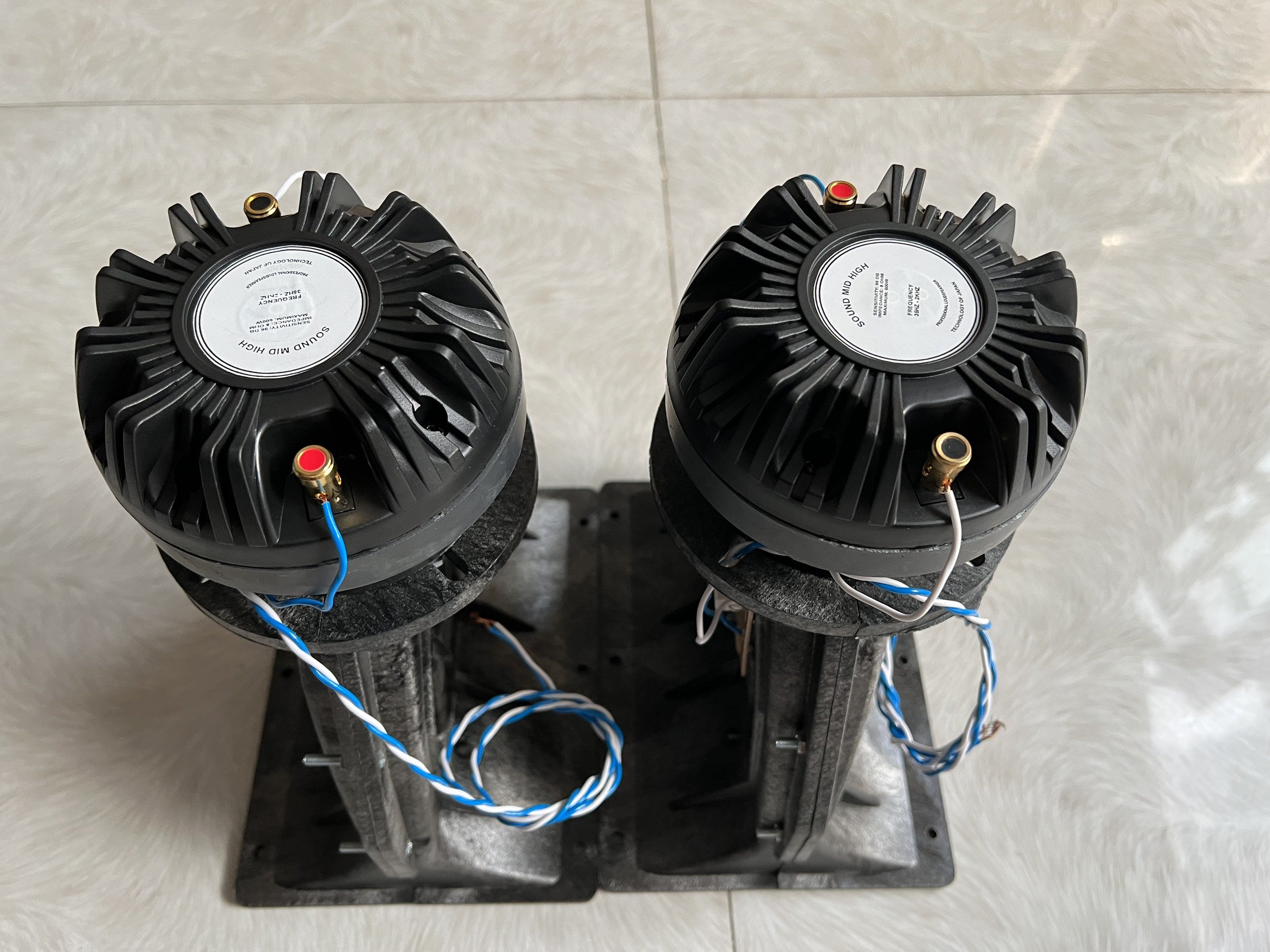 Chép Rời họng Aray củ chép 450 tiếng tí tách cực sáng và trong có phân tần Hải Triều