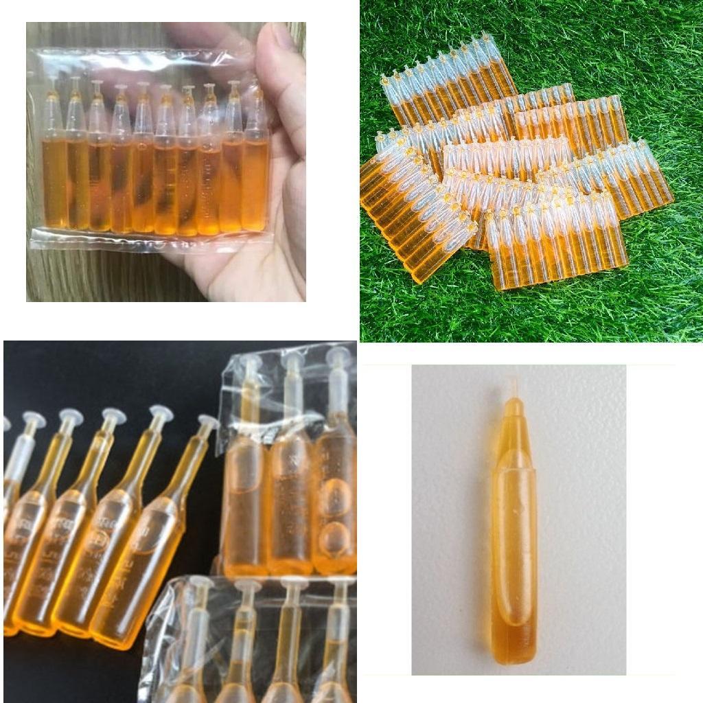 CHẾ PHẨM DẪN DỤ RUỒI VÀNG GÂY HẠI TRÊN CÂY ĂN QUẢ - HIỆU QUẢ LÂU DÀI, GIÚP BẢO VỆ CHẤT LƯỢNG TRÁI CÂY