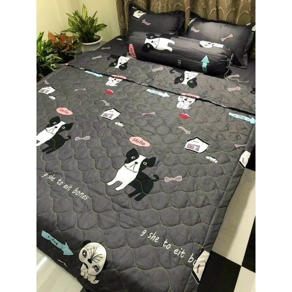 Chăn hè COTTON POLY trần bông 3 lớp