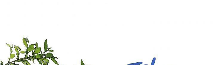 tái sinh thành con gái nam chính chapter 28 468