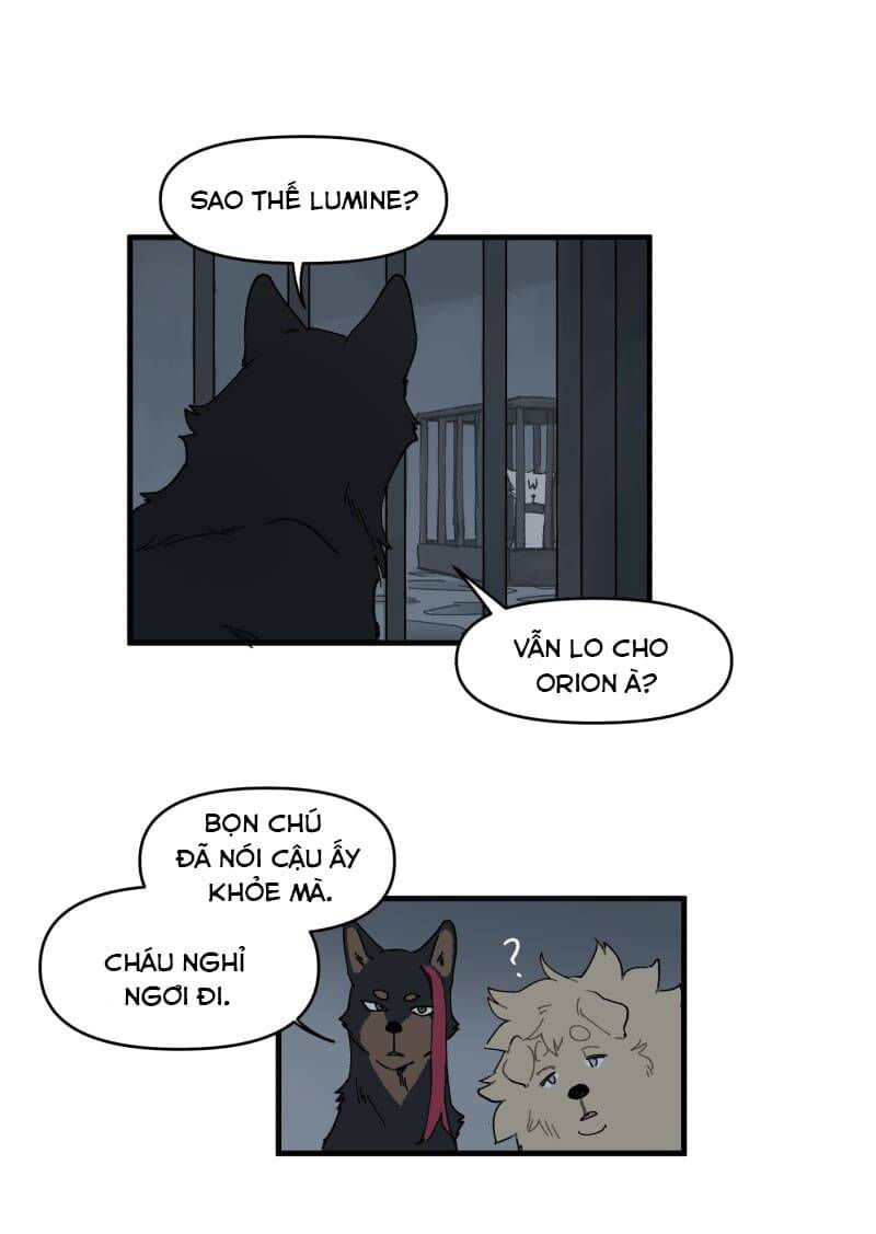 lumine - cội nguồn ánh sáng chapter 146 26