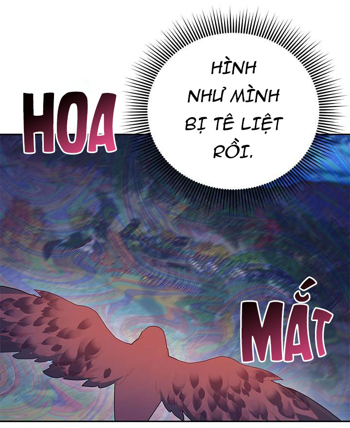 công chúa của loài chim chapter 38.1 11