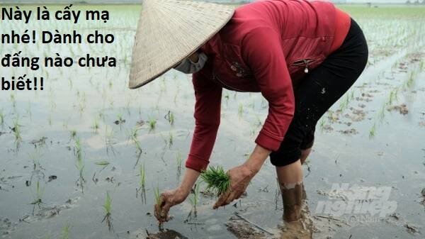 sự lụi tàn của usuzumi chapter 90 84