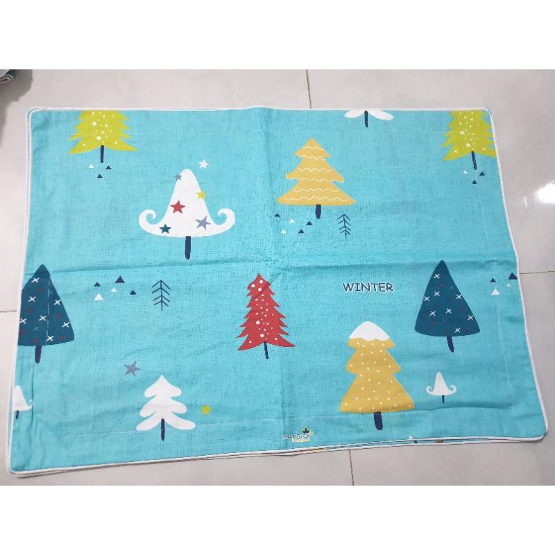 Cặp Áo gối cotton [Cao Cấp] 40x60/50x70