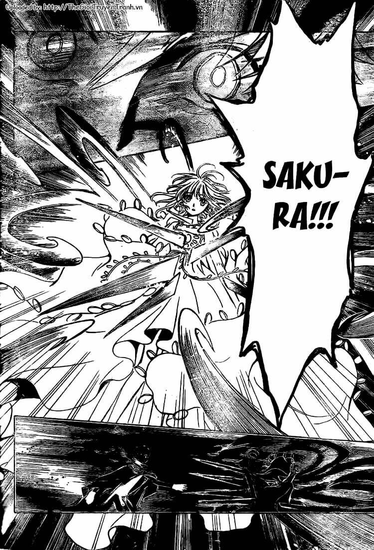 huyền thoại đôi cánh chapter 200 15