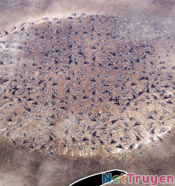 Gậy Gỗ Cấp 99+ chapter 3.1 186