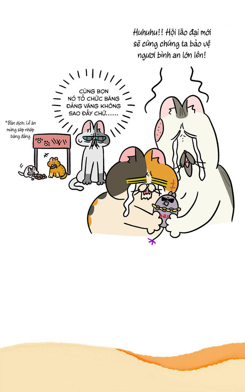 a mãn và mạch trà chapter 46 7