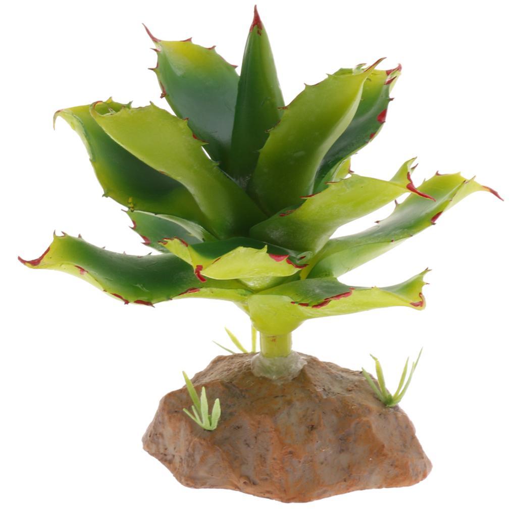 2 Piece Succulent Plant with Resin Base Reptile Terrarium Vivarium Ornament