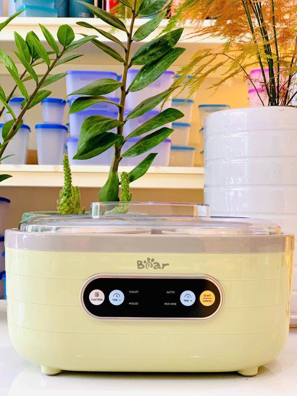 [Hàng chính hãng] Máy ủ sữa chua Bear SB-SC10C